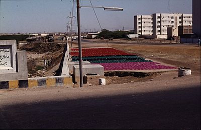 013.jpg