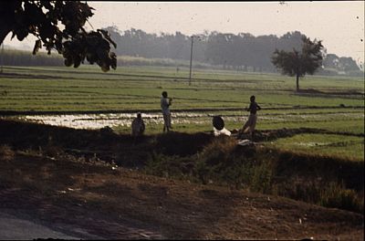 105.jpg