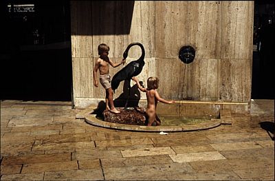 153.jpg